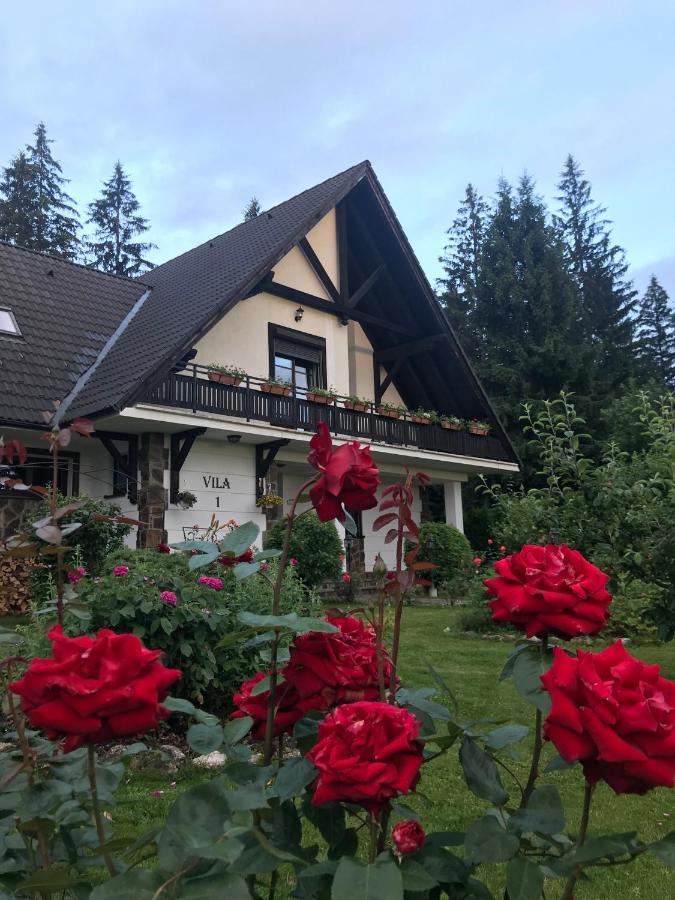 Complex Vile- Milana M Residence Poiana Brasov Exterior photo